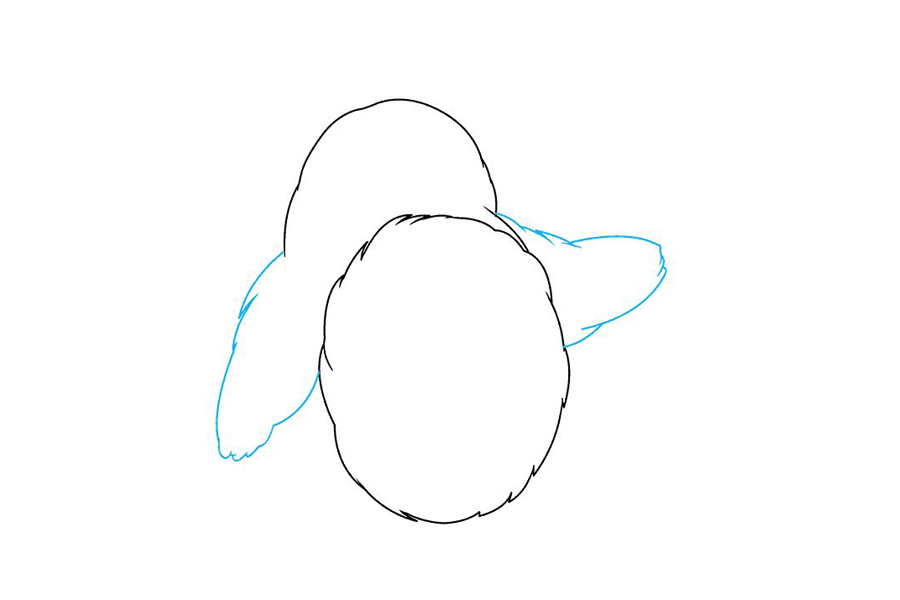 一步一步学画龙猫-图3