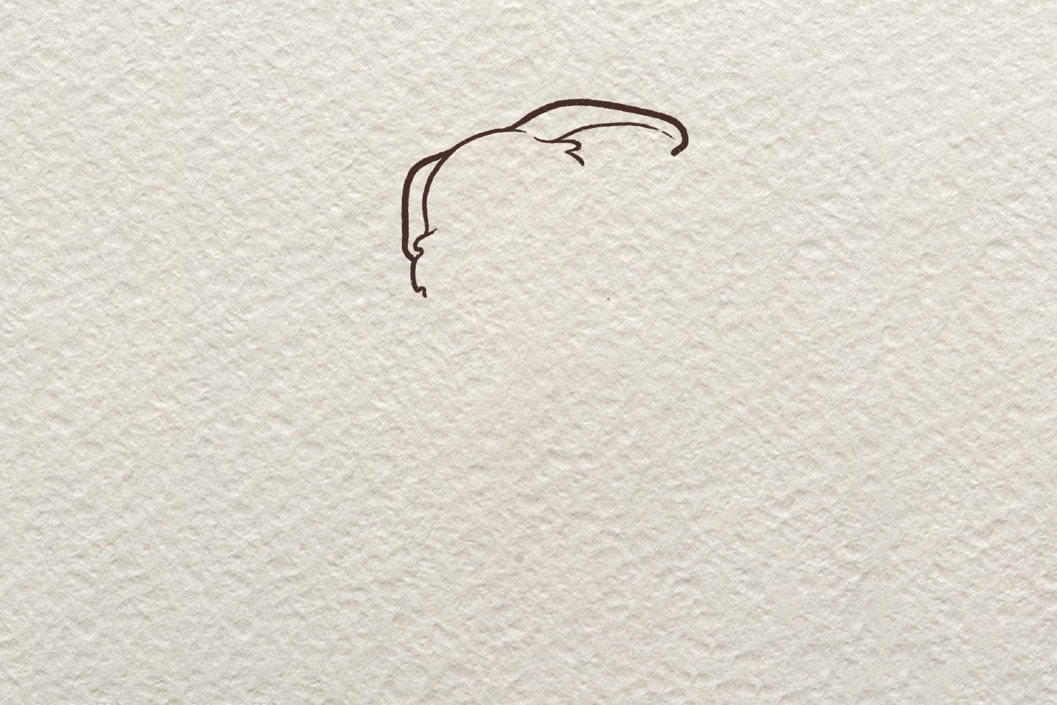 狗狗版射手座简笔画怎么画-图1