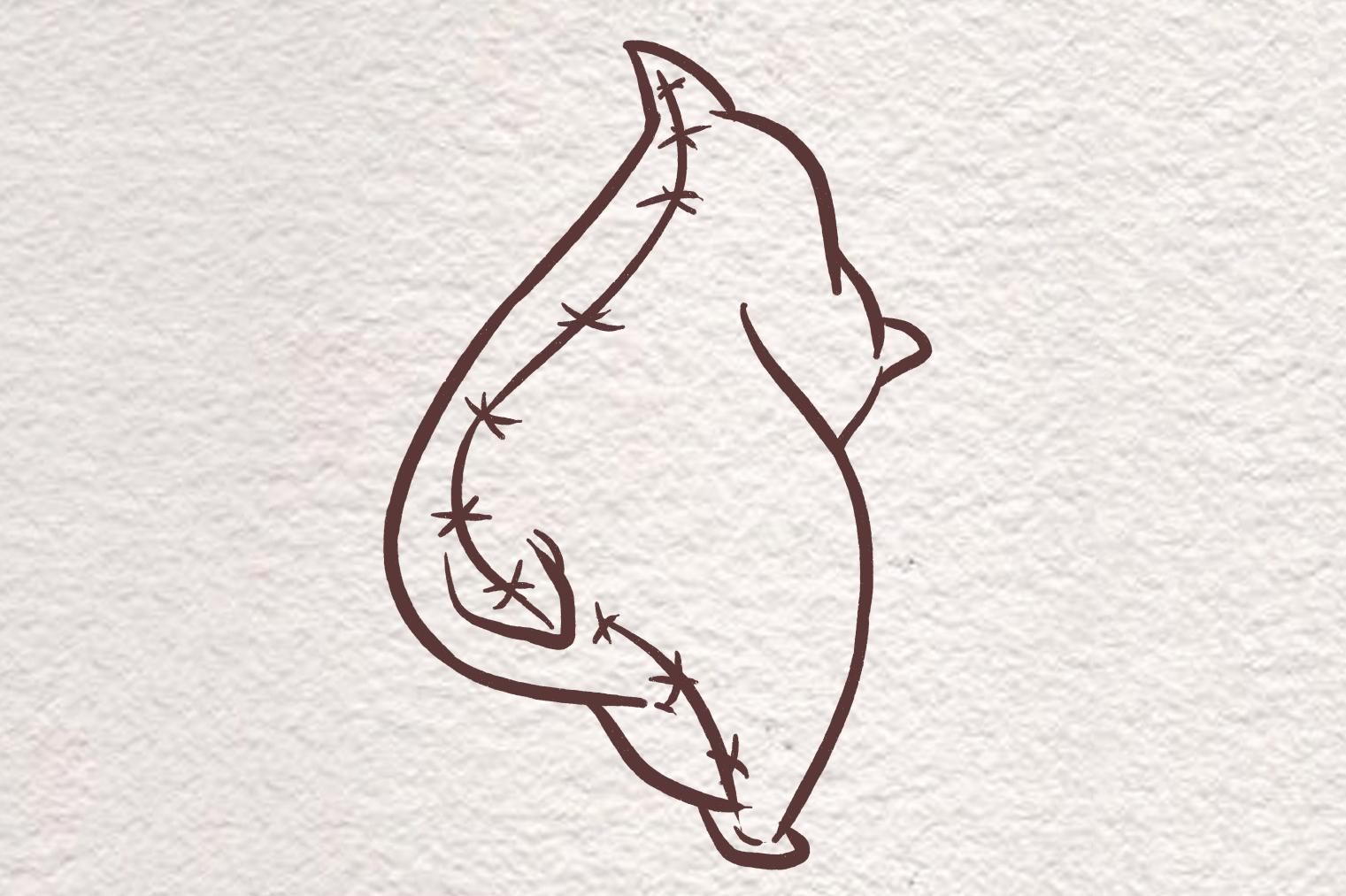 会武术的枕头简笔画图片-图6