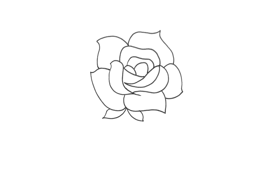 一步一步画玫瑰花简笔画-图2