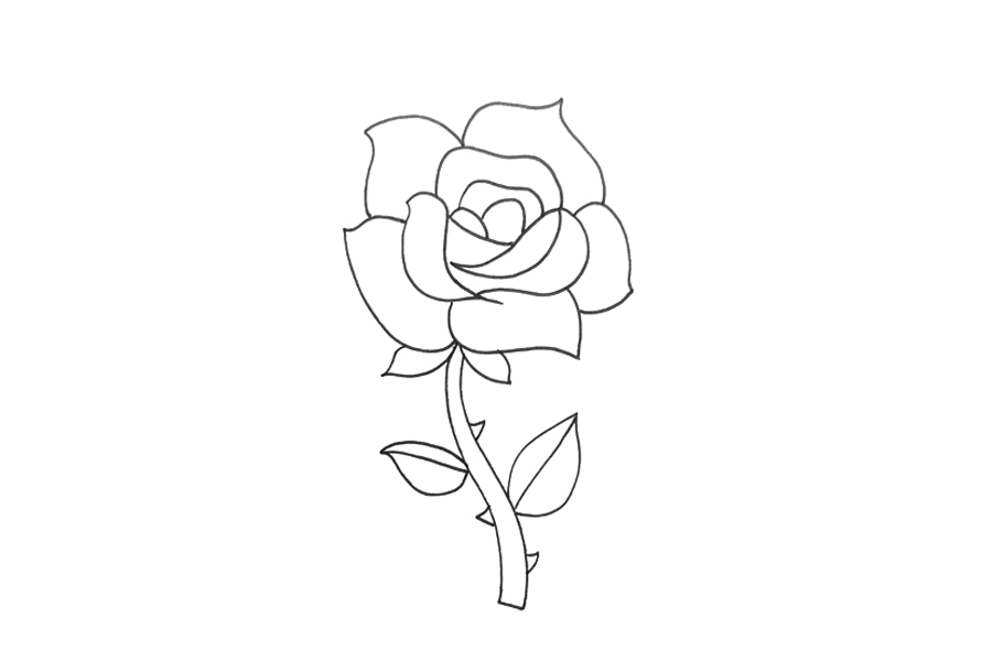 一步一步画玫瑰花简笔画-图3