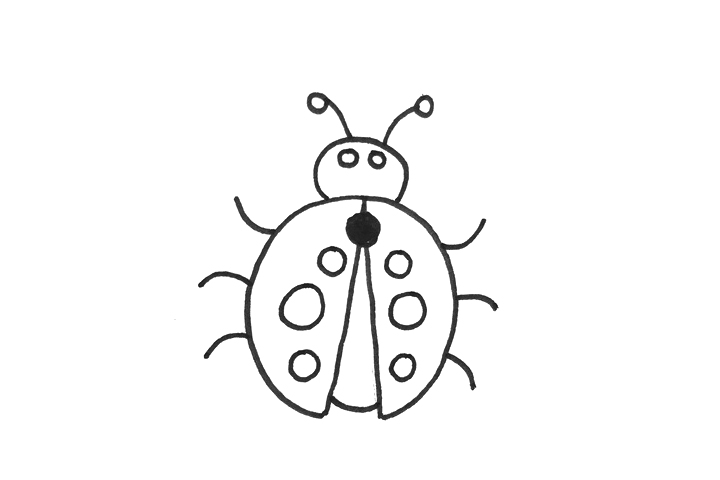 一步一步学画七星瓢虫简笔画-图3