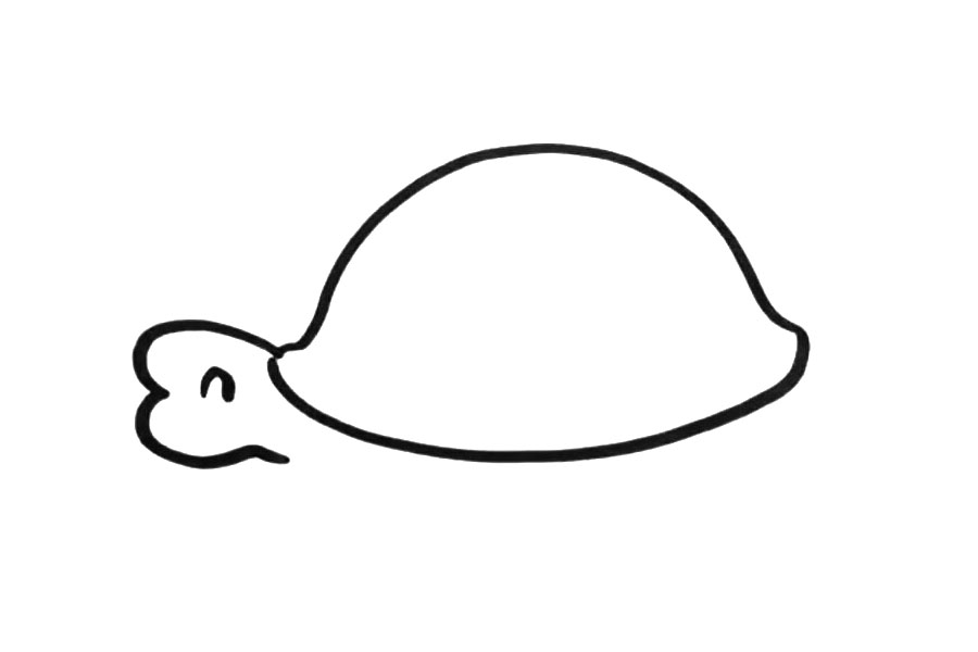 如何画小乌龟-图2