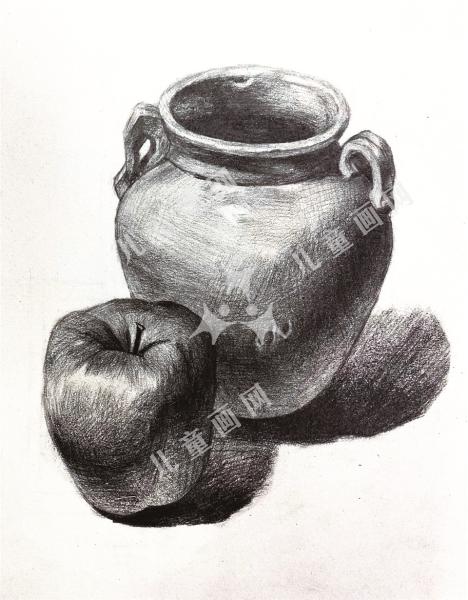 陶罐与苹果的组合素描