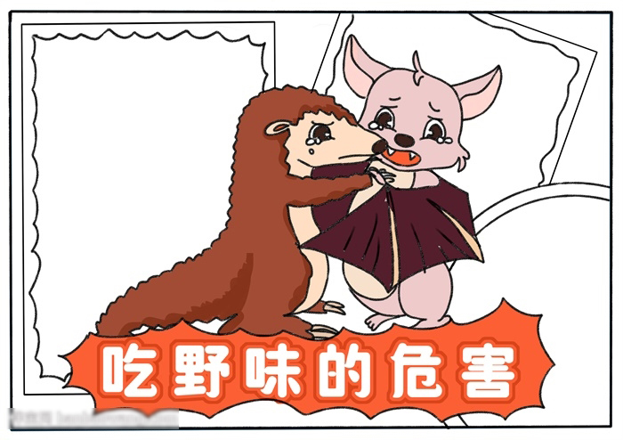 吃野味的危害宣传手抄报-图3