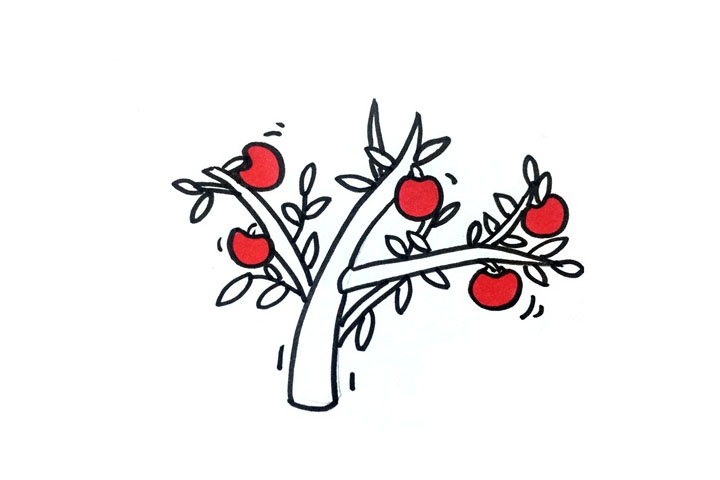 苹果树怎么画-图5