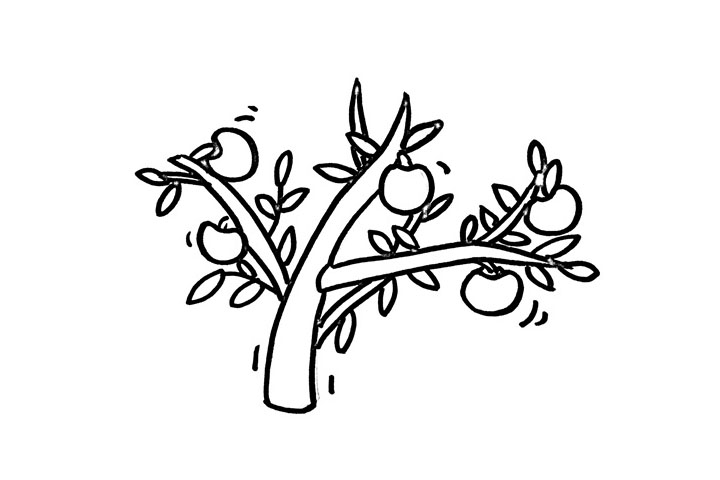 苹果树怎么画-图4