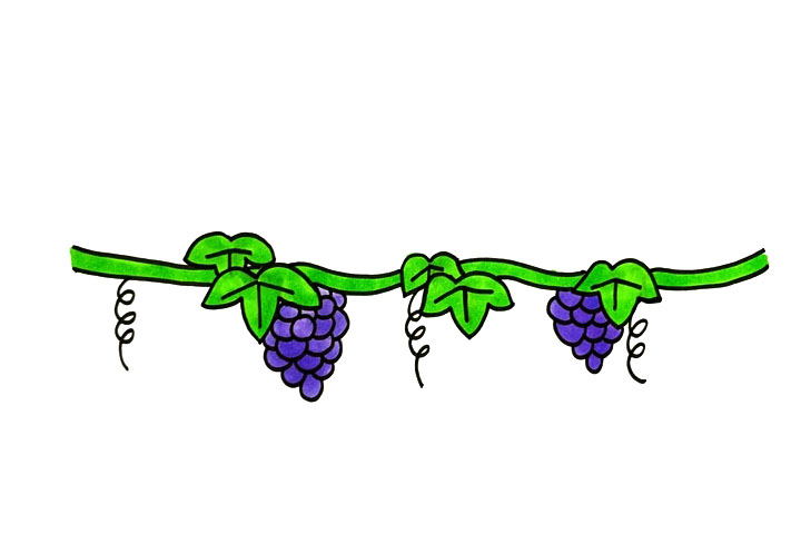 葡萄藤怎么画