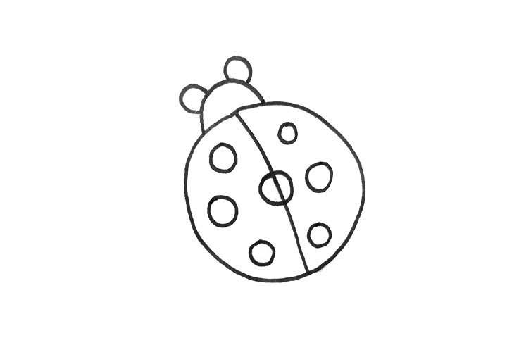 一步一步学画简单的七星瓢虫-图2
