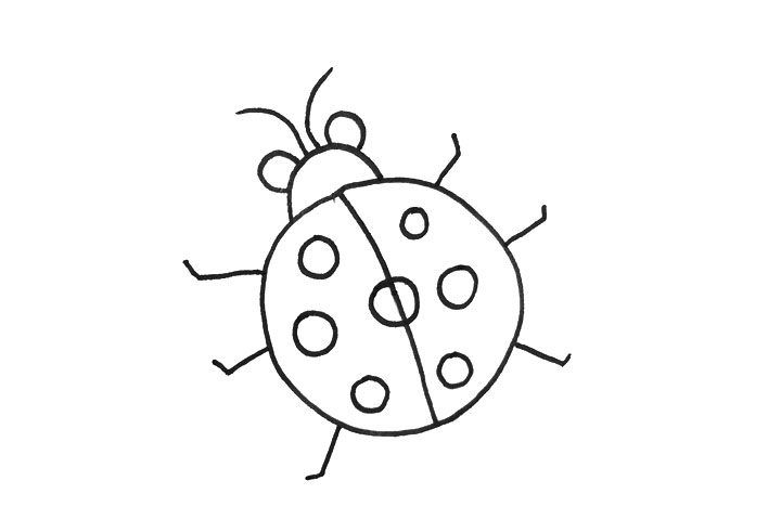 一步一步学画简单的七星瓢虫-图3