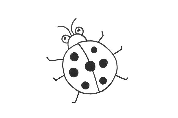 一步一步学画简单的七星瓢虫-图4