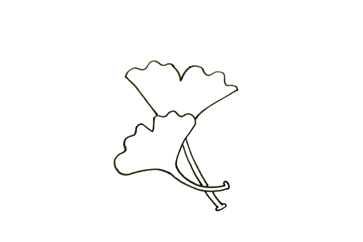 树叶简笔画大全 银杏叶怎么画-图2