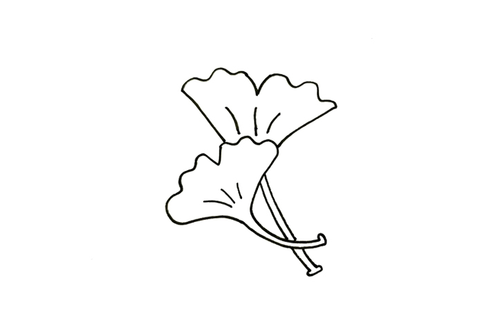 树叶简笔画大全 银杏叶怎么画-图3