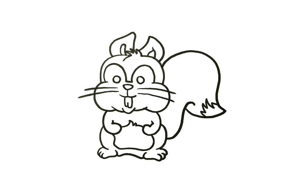 动物简笔画大全 松鼠怎么画-图4