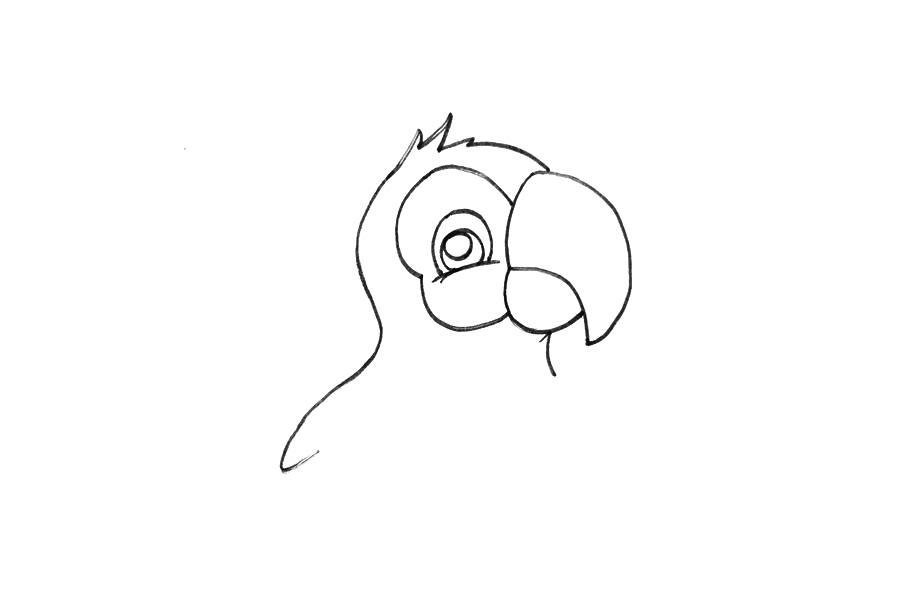 动物简笔画大全 鹦鹉简笔画怎么画-图2