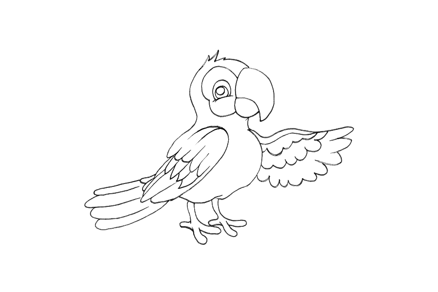 动物简笔画大全 鹦鹉简笔画怎么画-图4