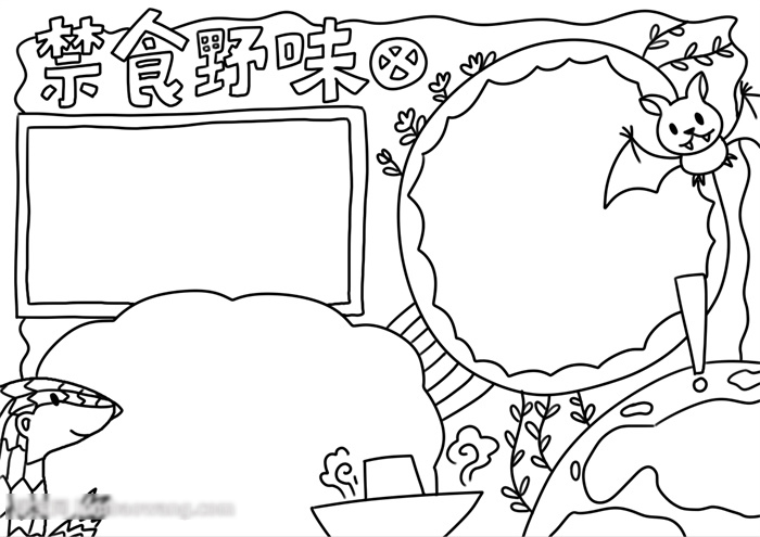 禁令野味宣传手抄报这样画-图2