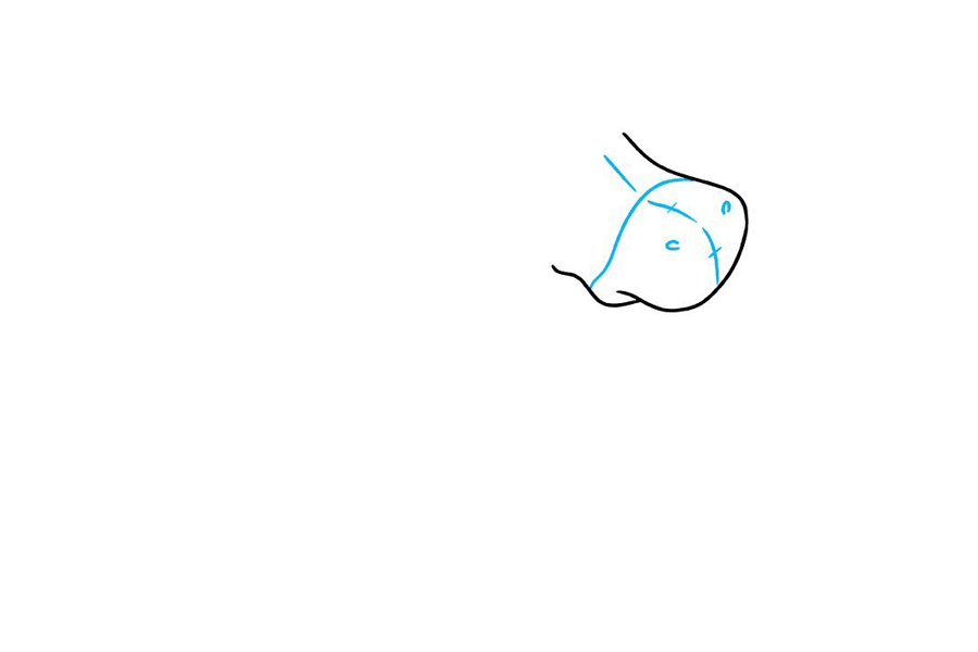 如何画迪士尼屹耳驴-图2