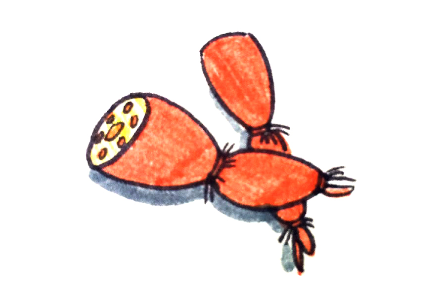 一组漂亮的蔬菜简笔画图片-图1