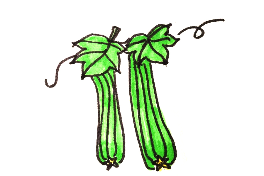 一组漂亮的蔬菜简笔画图片-图4