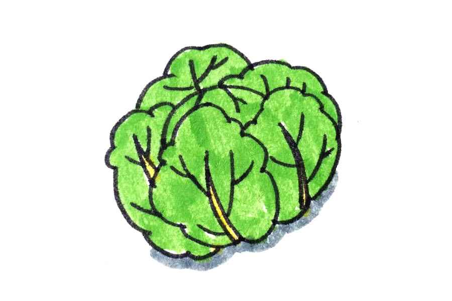 一组漂亮的蔬菜简笔画图片-图5