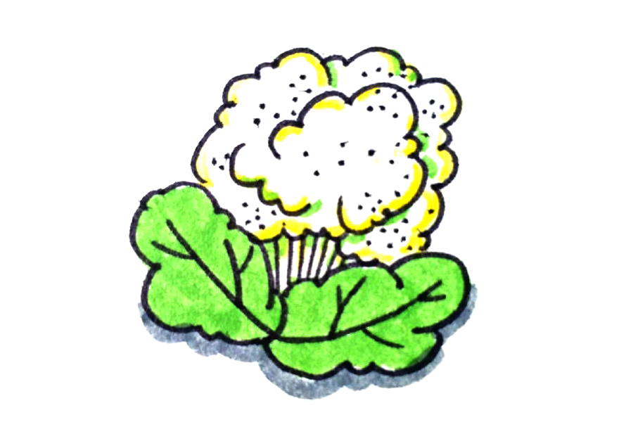 一组漂亮的蔬菜简笔画图片-图6