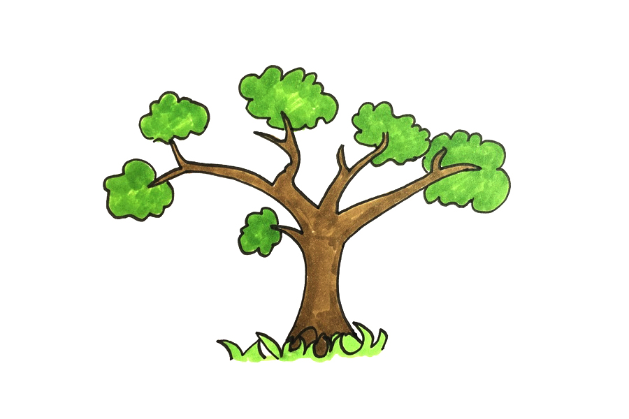 简单好画的大树怎么画