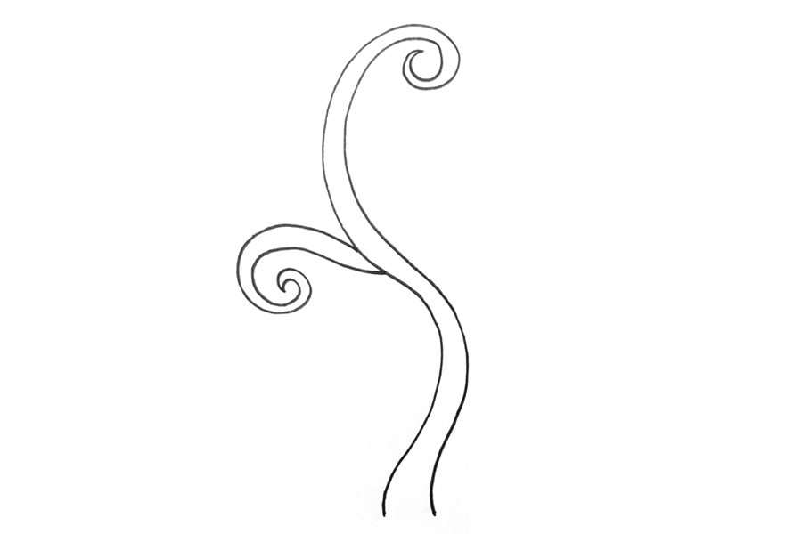 藤条怎么画-图1