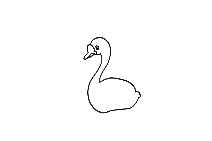 天鹅怎么画简单好看-图2