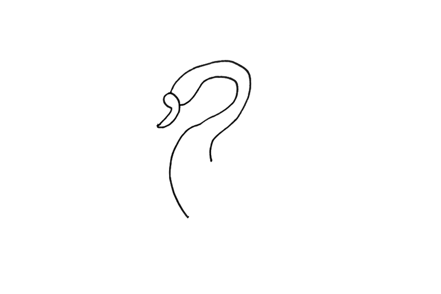 好看的天鹅怎么画-图1