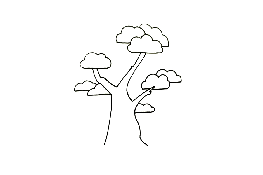 植物简笔画大全 松柏怎么画-图2