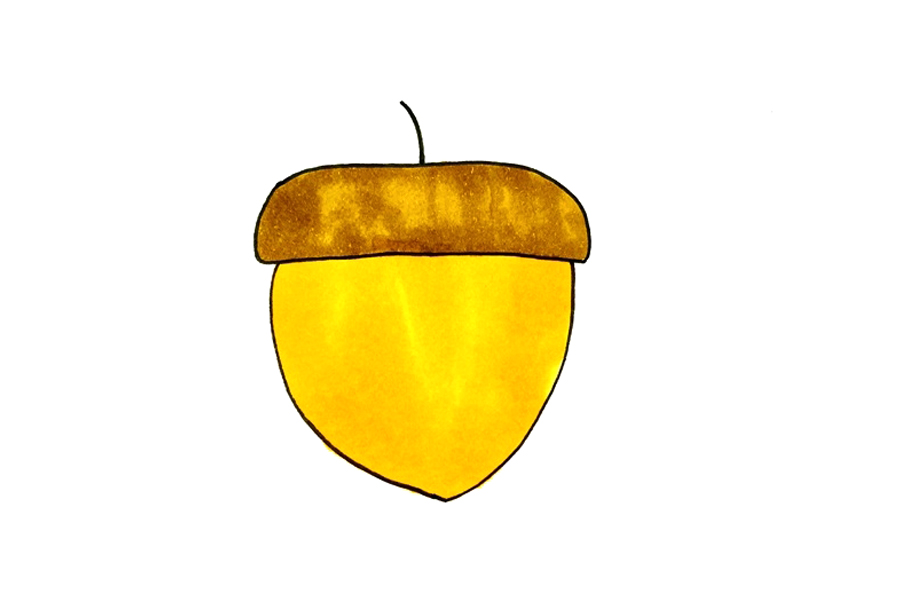 超简单松果简笔画画法步骤