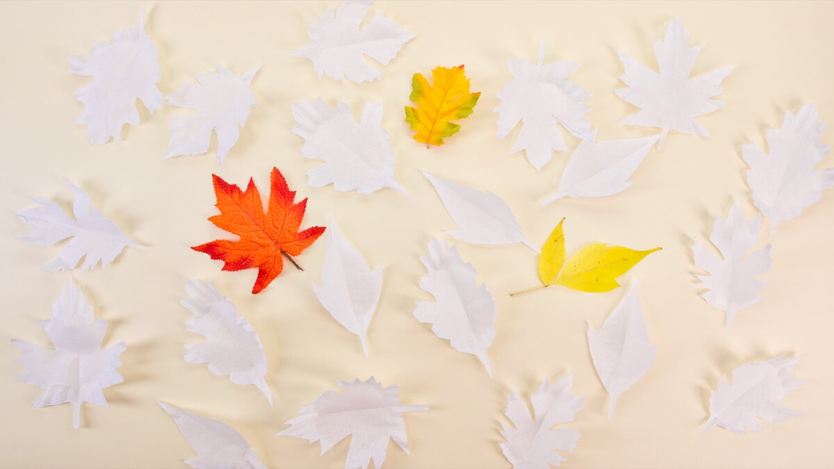 步骤2：使用笔，将您的叶子模板(或一些真正的叶子)描绘到您的咖啡过滤器上。提示：画出叶子的一半，将其对折，然后剪下叶子以节省一些步骤并确保您的叶子对称。制作尽可能多的叶子!