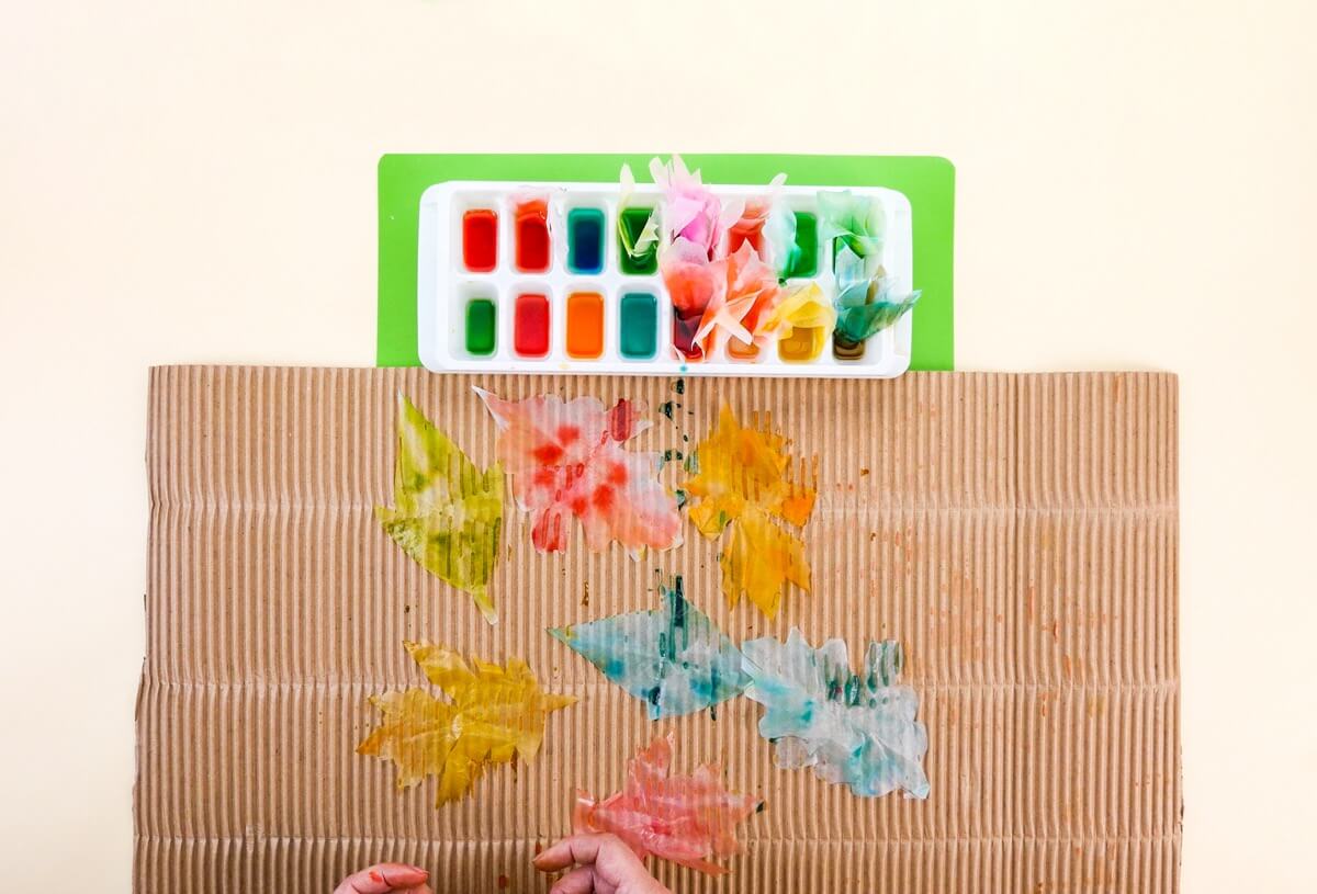 步骤6：让你美丽的秋叶在一张纸板上晾干。为了加快干燥过程，您可以使用吹风机。 