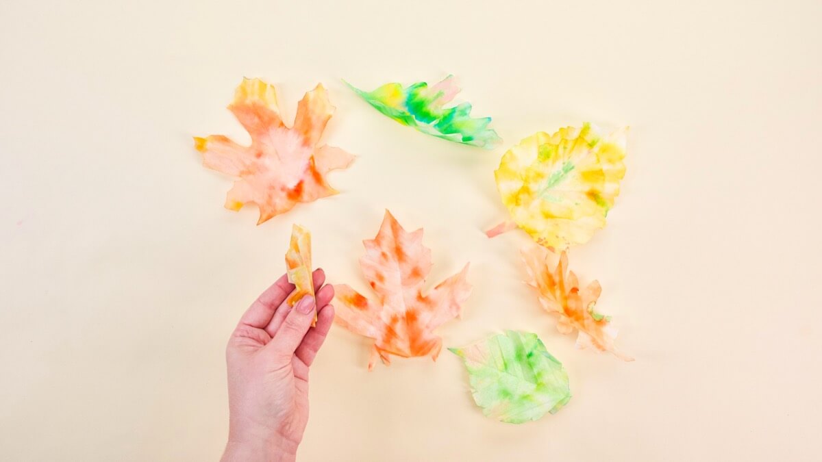 步骤7：当您的叶子变干时，您可以通过将它们向中间折叠并使叶子向下倾斜向下折叠来增加额外的纹理。