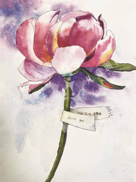 静待花开绘画作品