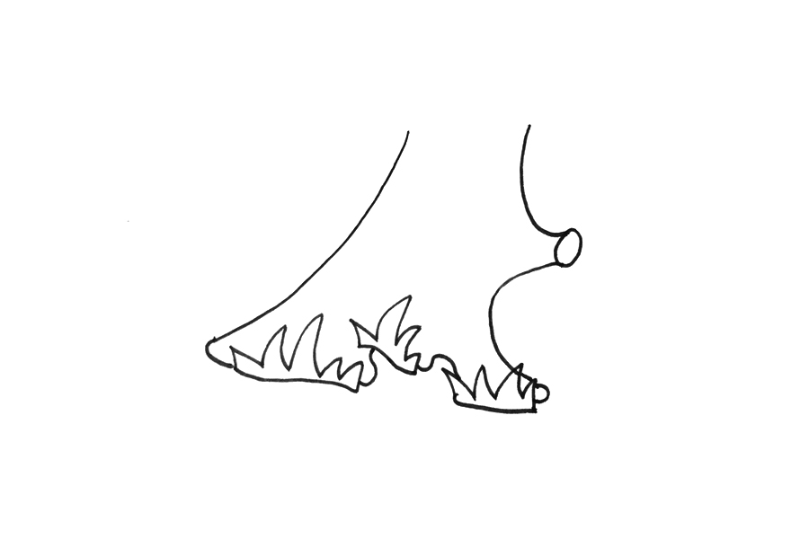 怎么画大树-图1