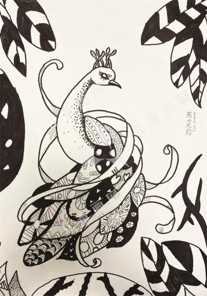 害羞的孔雀绘画