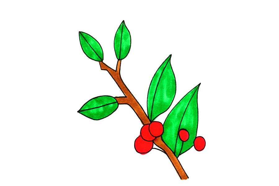 冬青树怎么画