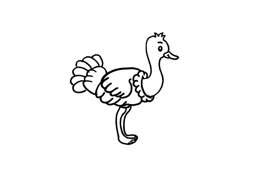 简单漂亮的鸵鸟怎么画-图3