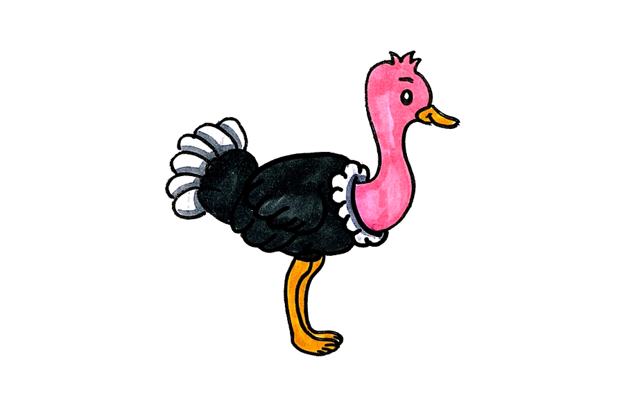 简单漂亮的鸵鸟怎么画
