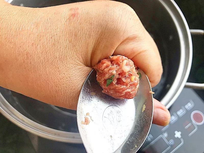 汤锅烧开水，抓一团肉泥在虎口处挤出合适大小的球，用勺子挖取。