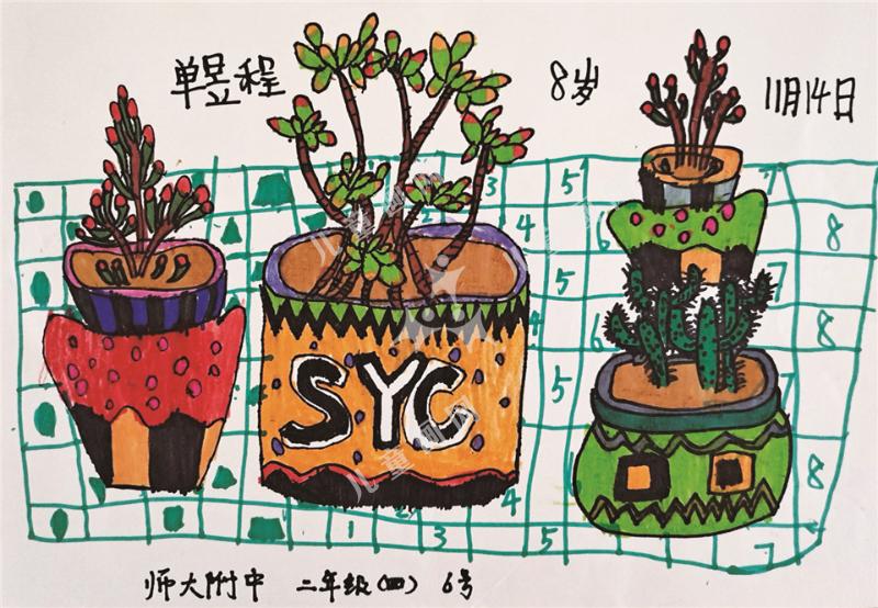 多肉写真作品欣赏