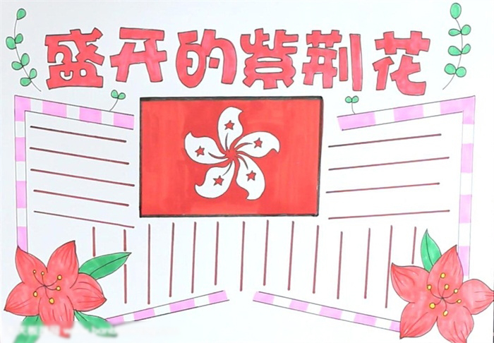 盛开的紫荆花手抄报绘画