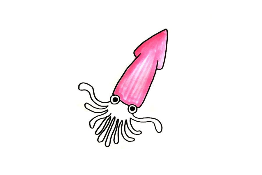 乌贼怎么画-图3