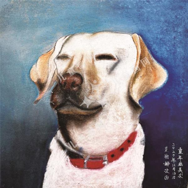 写生小狗绘画作品