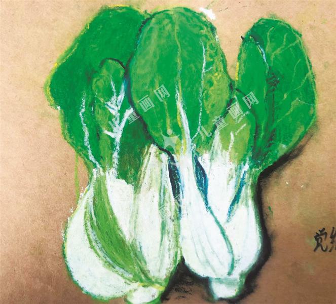 白菜绘画欣赏