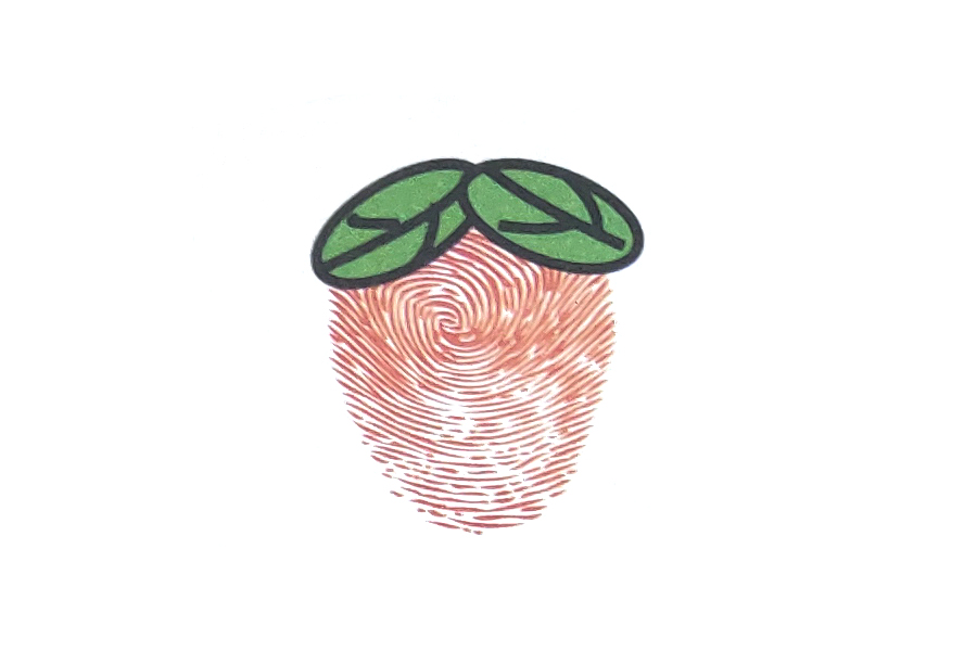 步骤2：接下来画上草莓的叶子。