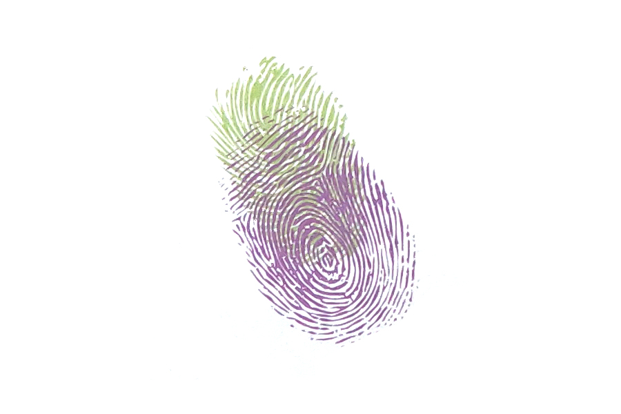 步骤2：再用食指蘸取不同颜色的颜料重叠着按出茄子胖胖的身子。