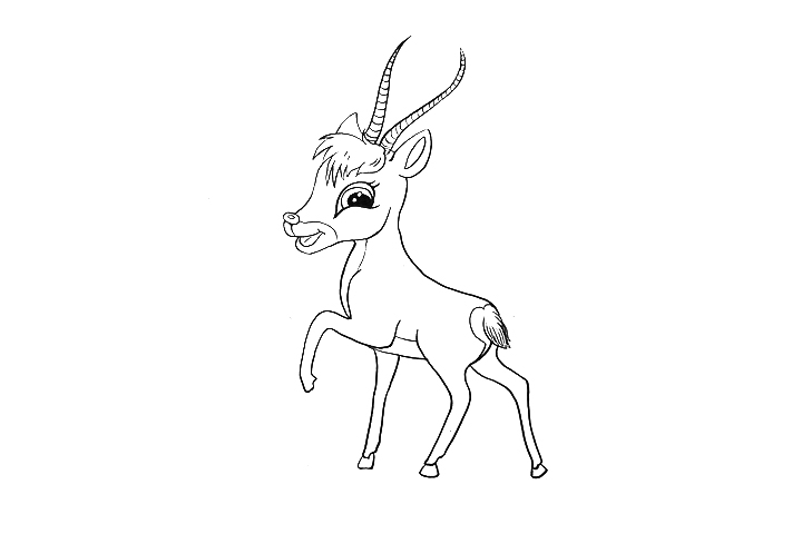 小藏羚羊怎么画-图2